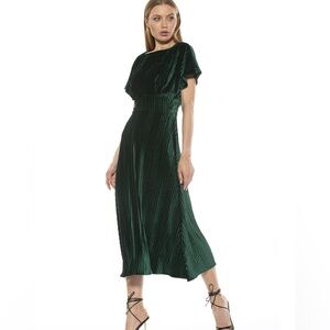 NWT Alexia armor Veronica Pleated Dress Green Velvet
